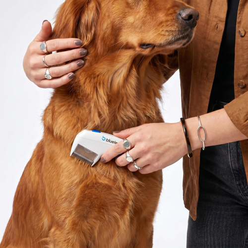 Cepillo Eléctrico Quitapulgas para Perros y Gatos — Elimina Pulgas al Instante