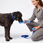Botella Bebedero Portátil — Agua Fresca para tu Mascota en Cada Paseo